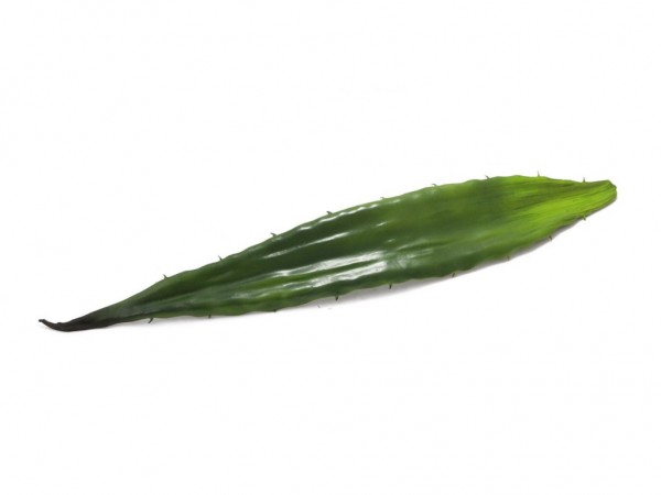 Aloeblatt - Grün - 0,60m