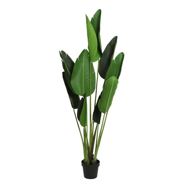 Strelitzie im Topf - Paradiesvogelblume - Kunstpflanze - H: 150cm - grün