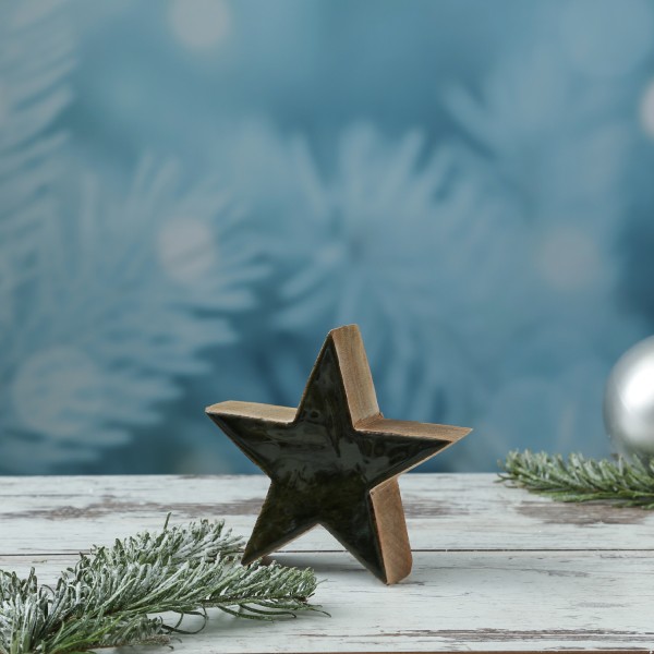 Holzstern - Weihnachtsstern - stehend - einseitig emailliert - Mangoholz - H: 15cm - natur, grün