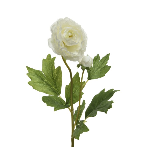 Ranunkel mit Blüte und Knospe am Stiel - Kunstblume - H: 57cm - weiß