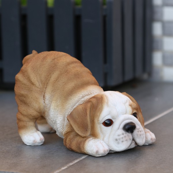 Gartenfigur Hund LUCY - Dekofigur - Bulldogge Welpe - Polyresin - H: 10,5cm - braun, weiß