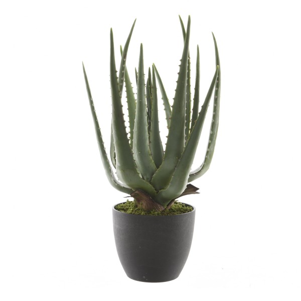 Aloe Vera im Topf - Kunstpflanze - H: 67cm - D: 40cm - grün