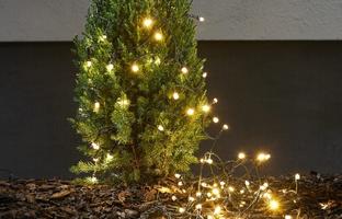 Lichterketten | Weihnachten | Lichterketten Experte