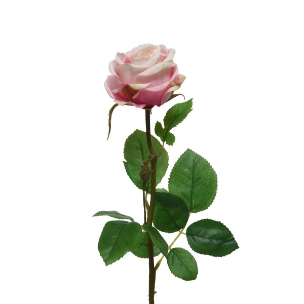 Rose am Stiel - Kunstblume - Real Touch Oberfläche - H: 66cm - rosa