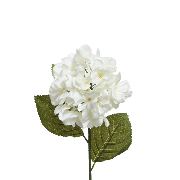 Hortensie - Stielblume - Kunstblume - H: 66cm - weiß